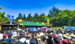 五一景区爆料视频大全,五一景区爆笑瞬间大盘点